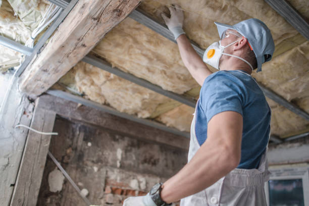 Best Energy Efficiency Solutions in , IA